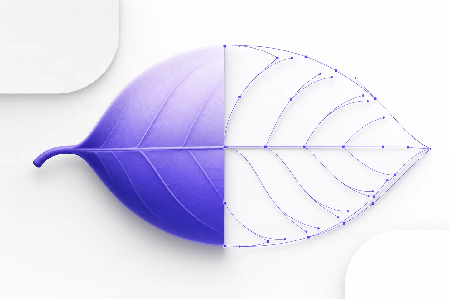 A photo edge being rebuilt as smooth vector curves during Image to SVG conversion